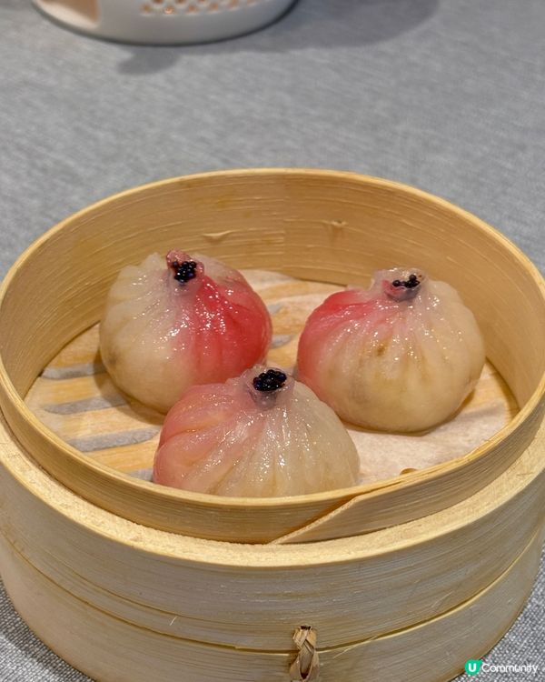 尖咀新「自己人」🏡試新菜😋✨