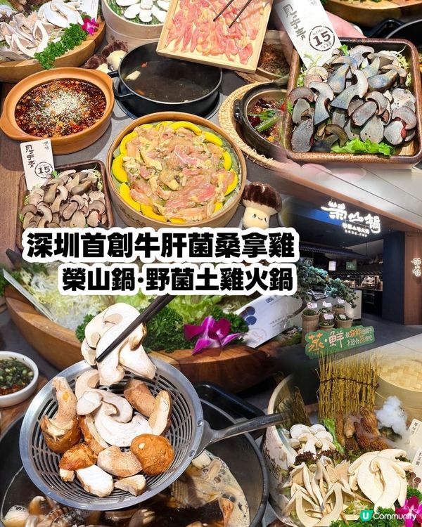 🔥深圳首創牛肝菌桑拿雞🐓快來品嘗山野鮮味