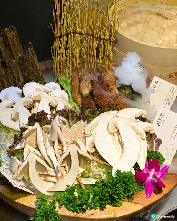 🔥深圳首創牛肝菌桑拿雞🐓快來品嘗山野鮮味