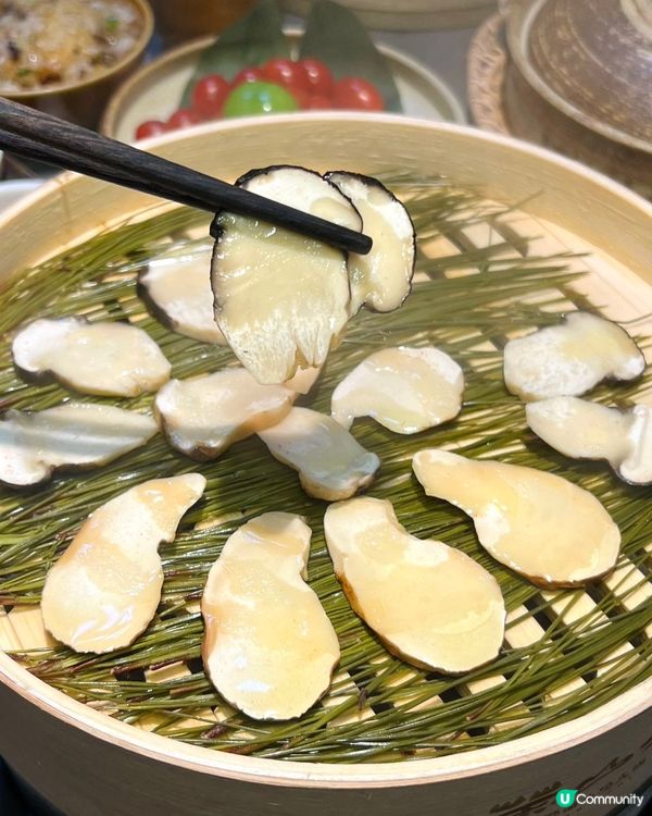 🔥深圳首創牛肝菌桑拿雞🐓快來品嘗山野鮮味