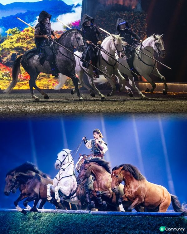 馬年🐴必睇嘅馬術🏇🏻劇場
