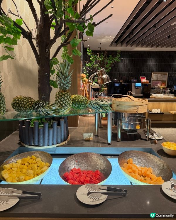 香港海鮮自助餐～寵物有善餐廳