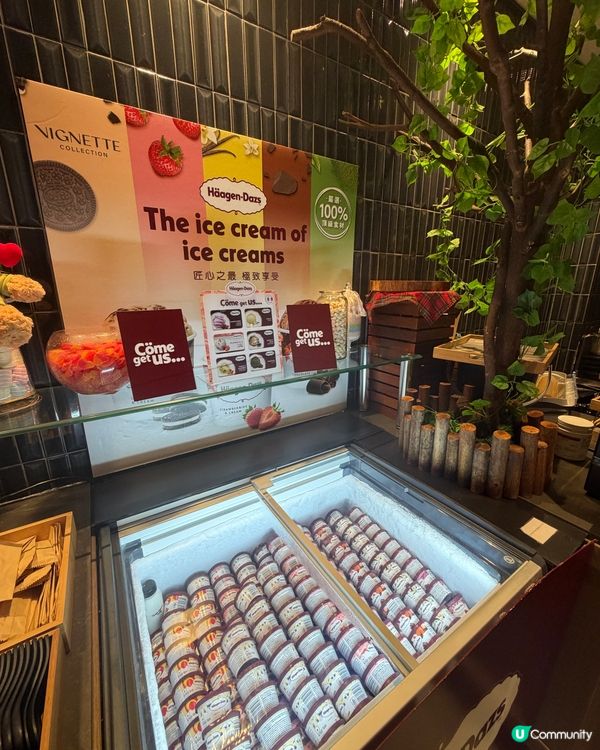 香港海鮮自助餐～寵物有善餐廳