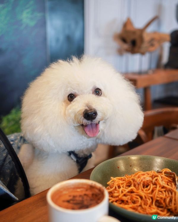 鴨脷洲新寵物友善餐廳🐶🍽️💖