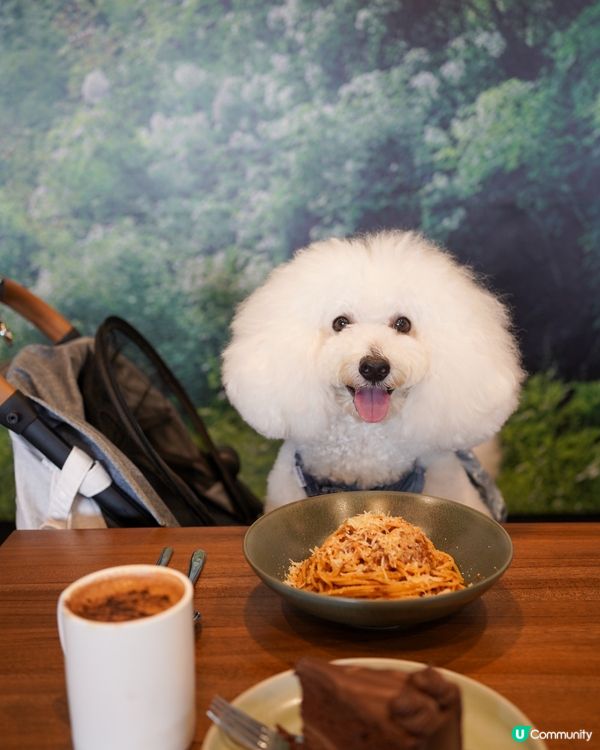 鴨脷洲新寵物友善餐廳🐶🍽️💖