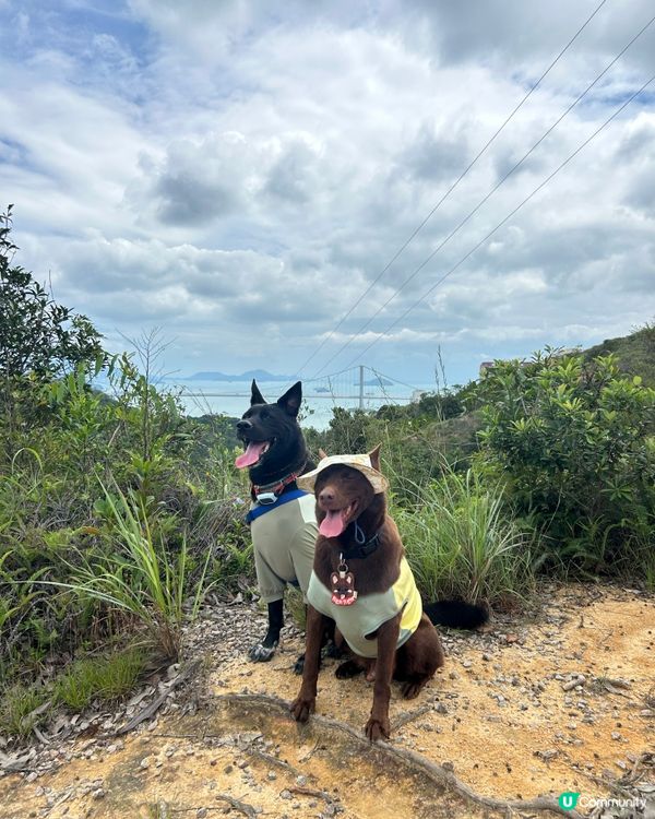 陽光燦爛☀️行山樂！🐶🌳