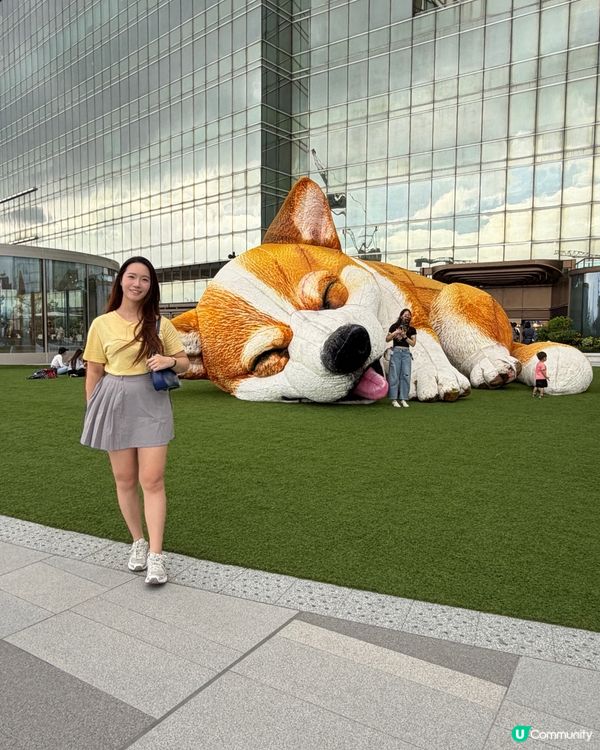 巨犬打卡位🐾🐶 好得意！