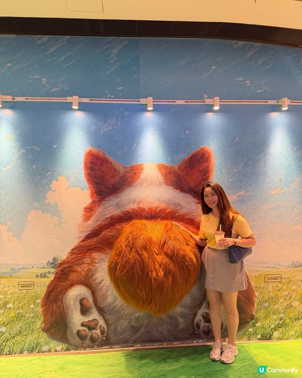 巨犬打卡位🐾🐶 好得意！