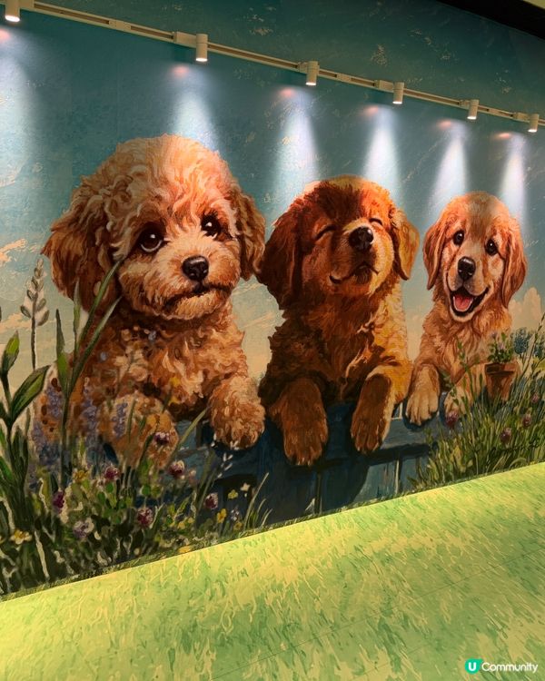 巨犬打卡位🐾🐶 好得意！