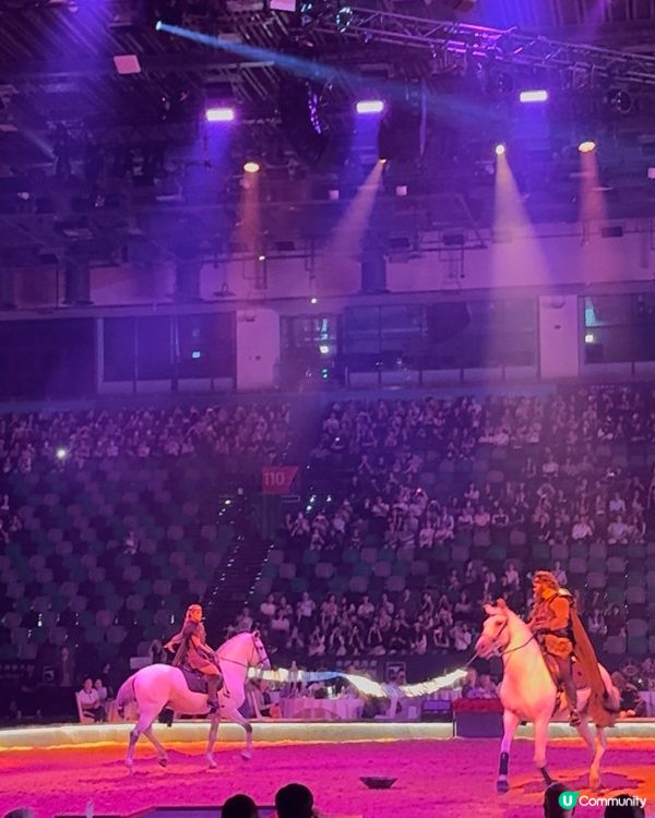值回票價！CAVALLUNA馬術劇場 🐎