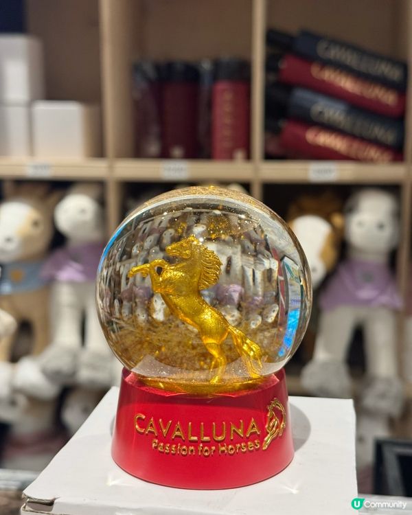 值回票價！CAVALLUNA馬術劇場 🐎