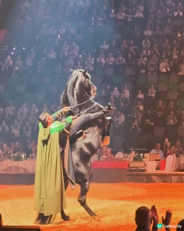值回票價！CAVALLUNA馬術劇場 🐎