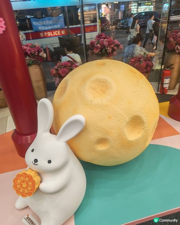 兔兔中秋🐰月圓荃灣🥰