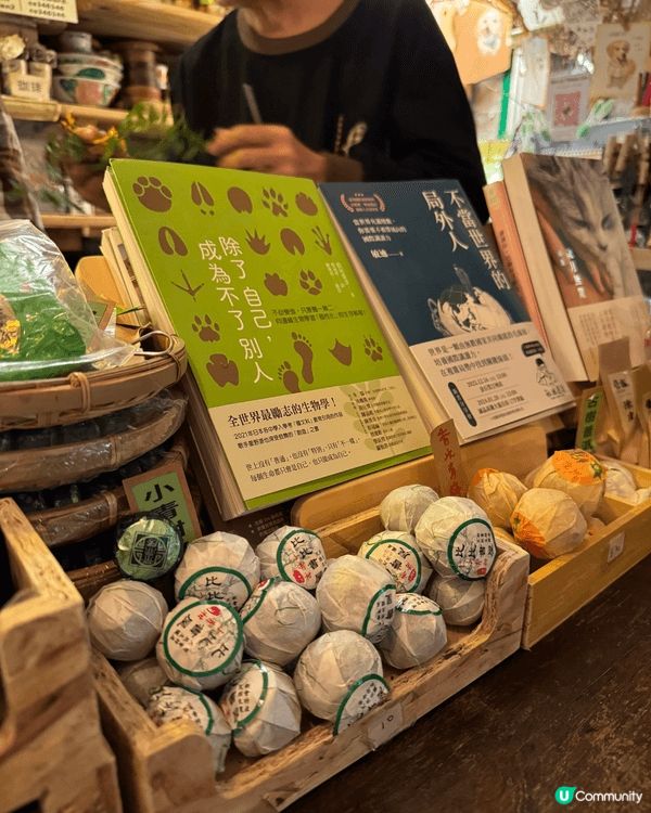 錦田隱世角落 🌿 比比書屋 📖✨
