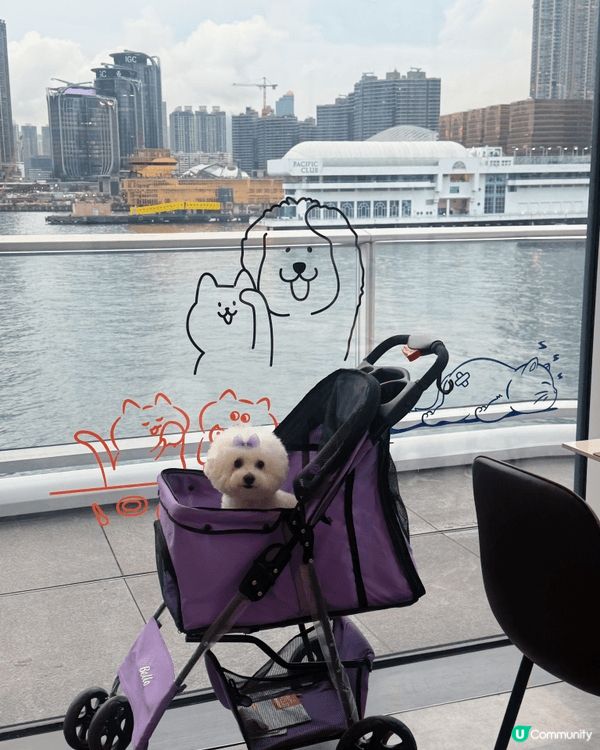 尖沙咀「沐瀾」真係好啱打卡又啱食，仲係寵物友善餐廳，我帶埋狗...