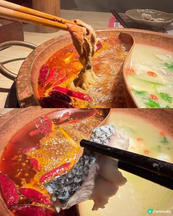🐱🍲 方叔叔重慶老火鍋 10 週年|Smile 是貓奴