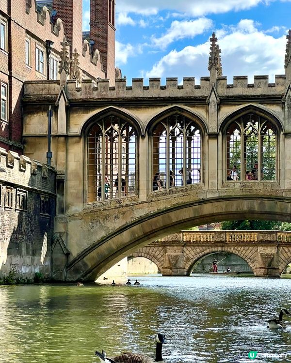 『英國』劍橋撐船仔遊康河🚣‍♀️｜水面視覺慢遊College
