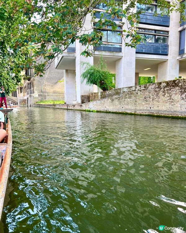 『英國』劍橋撐船仔遊康河🚣‍♀️｜水面視覺慢遊College