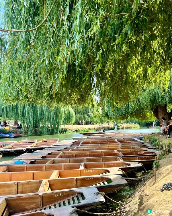 『英國』劍橋撐船仔遊康河🚣‍♀️｜水面視覺慢遊College