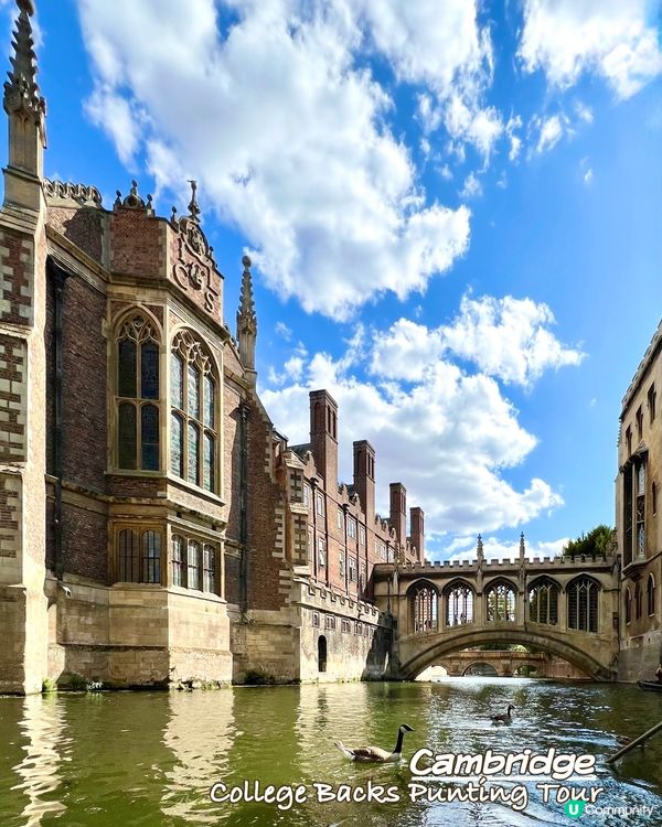 『英國』劍橋撐船仔遊康河🚣‍♀️｜水面視覺慢遊College