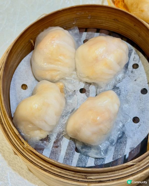 🔥 【灣仔超高性價比之選】｢好譽居｣手工點心 🥟