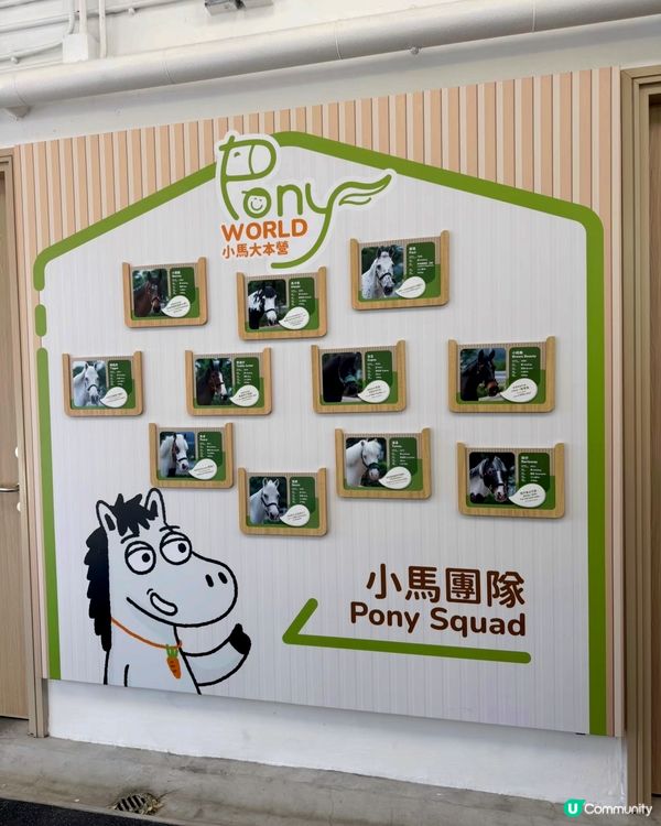 小馬樂園🍄 嚟啦！