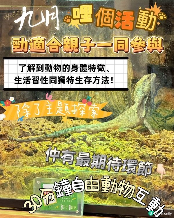 My Mini Zoo 新主題《動物生存學院》🦁