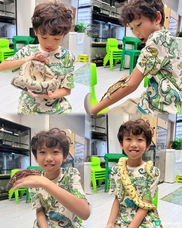 My Mini Zoo 新主題《動物生存學院》🦁