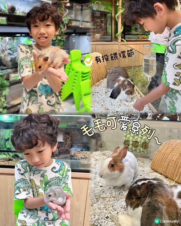 My Mini Zoo 新主題《動物生存學院》🦁