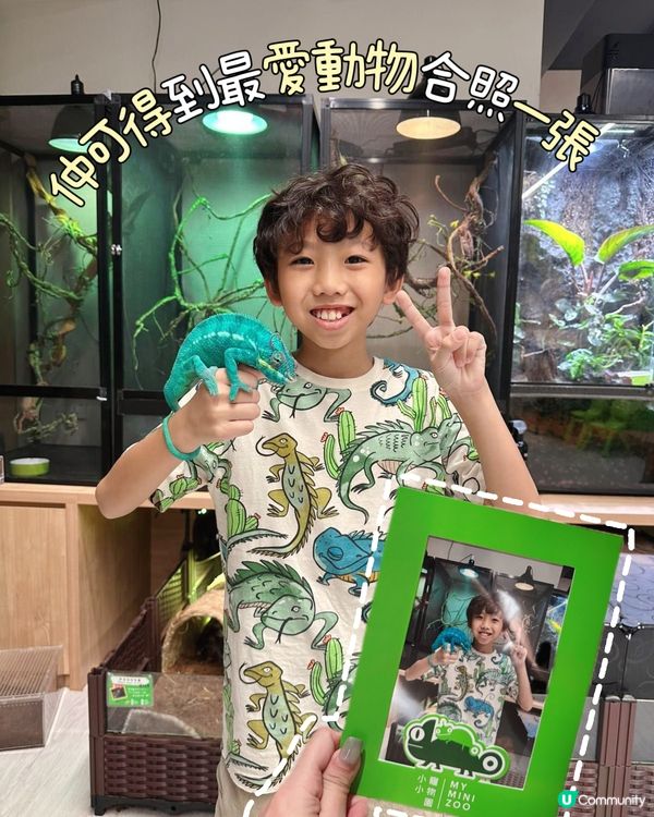 My Mini Zoo 新主題《動物生存學院》🦁