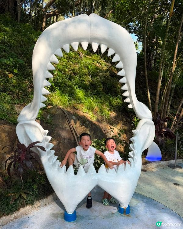 申請左海洋公園年票