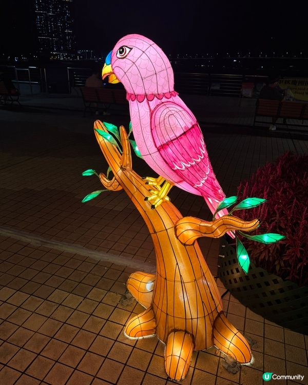 將軍澳中秋花燈海濱