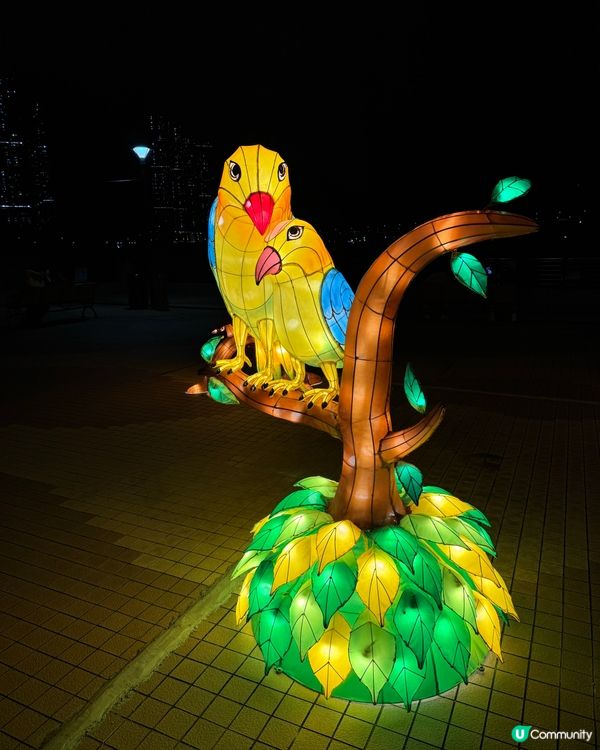 將軍澳中秋花燈海濱