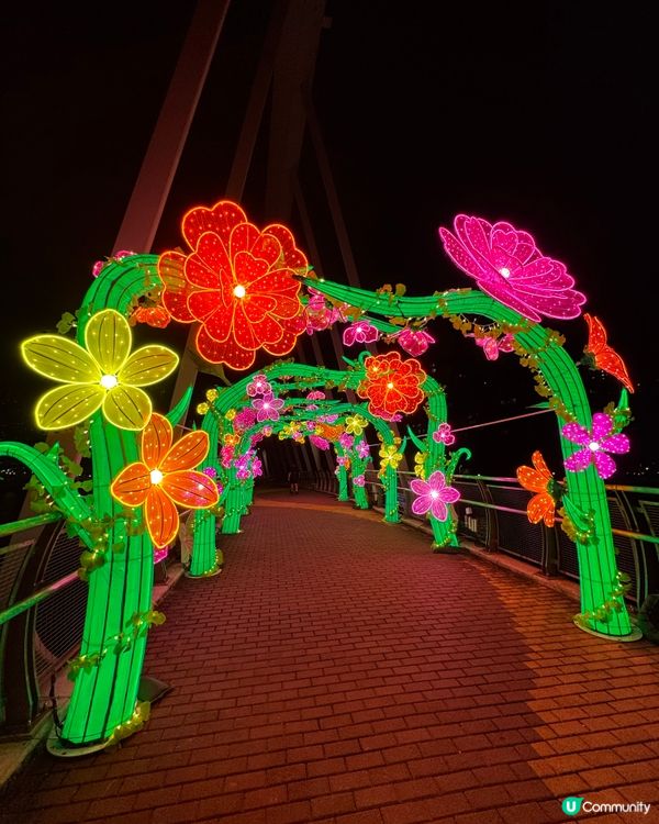 將軍澳中秋花燈海濱