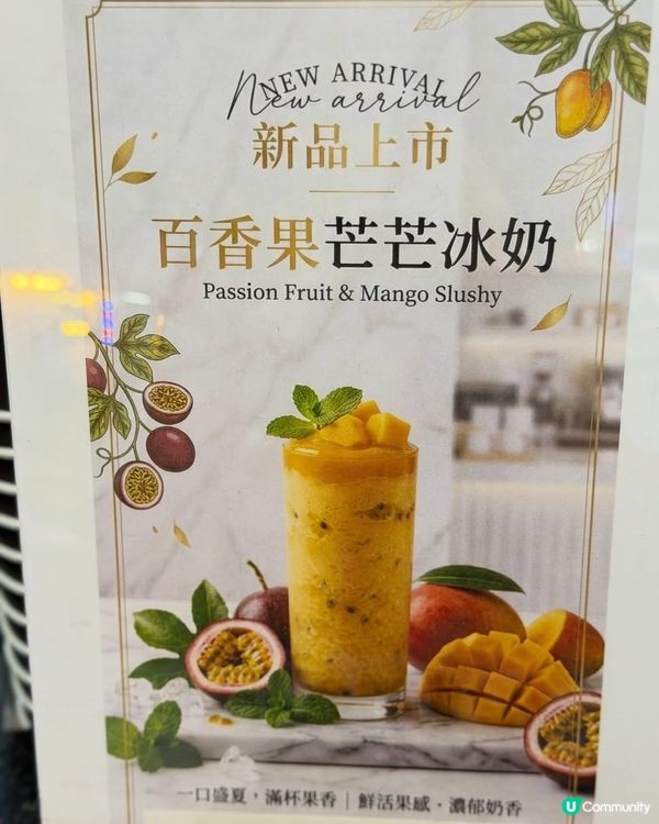 灣仔｢玉璃｣🧋足料芝士水果茶與清新白桃蜂蜜蘆薈 ✨