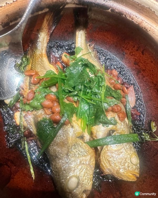 香脆乳鴿😋深圳福田必試！