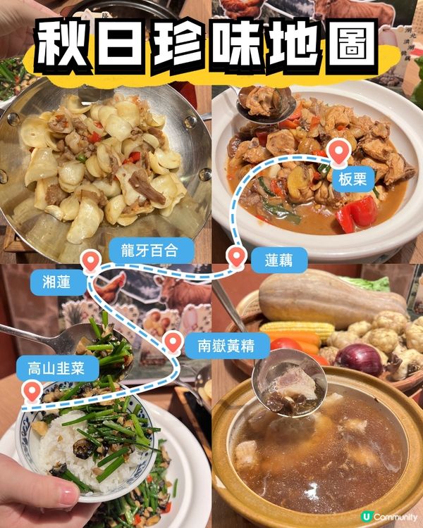 秋日限定山野鮮,香港少見滋補味🌾