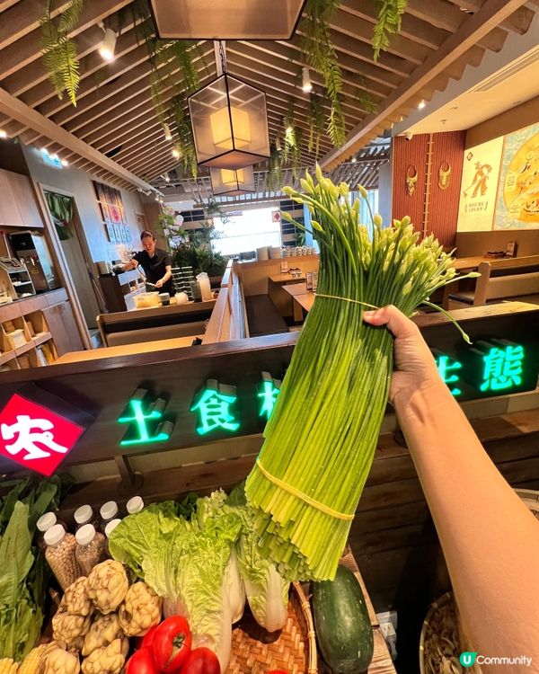 秋日限定山野鮮,香港少見滋補味🌾