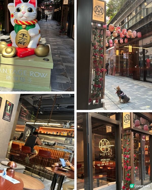 雅致木系Cafe 📖🍰🍷