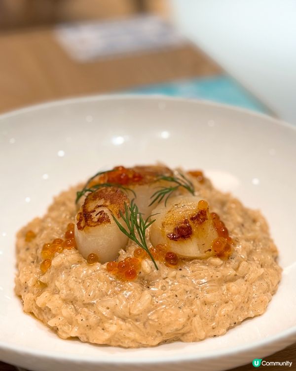 【啟德Airside ✦ 🩵可愛溫馨Cafe🧸🍴】