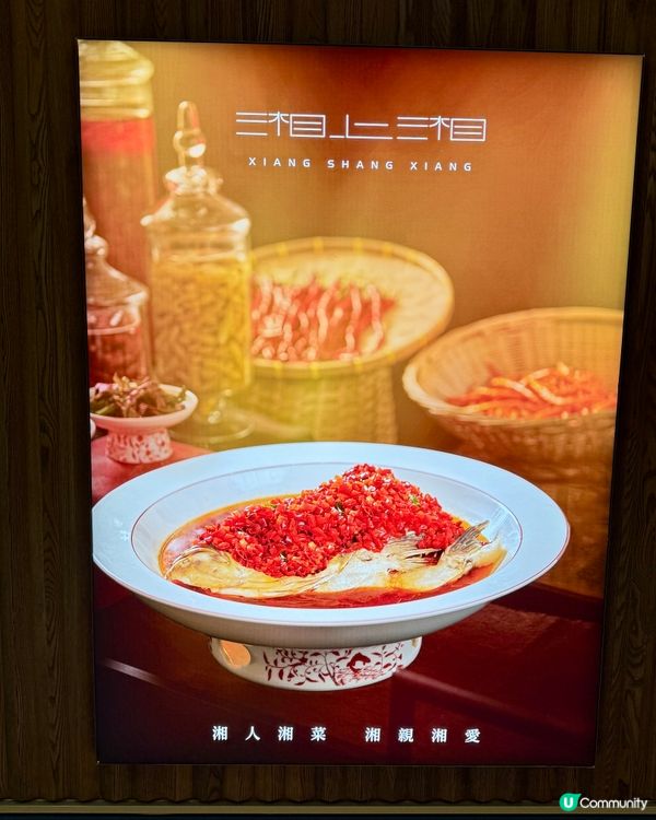 米芝蓮指南推介 高級正宗湖南菜🌶️