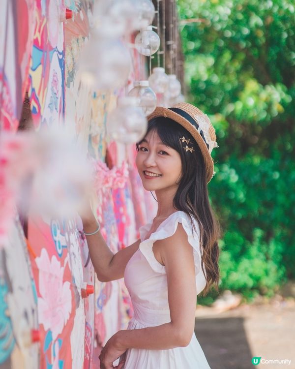 元朗信芯園最後花海!唔止太陽花,仲有超多打卡位