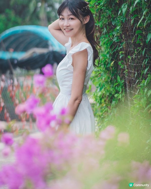 元朗信芯園最後花海!唔止太陽花,仲有超多打卡位