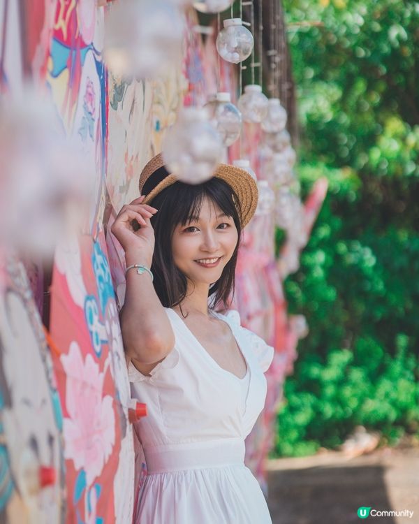 元朗信芯園最後花海!唔止太陽花,仲有超多打卡位