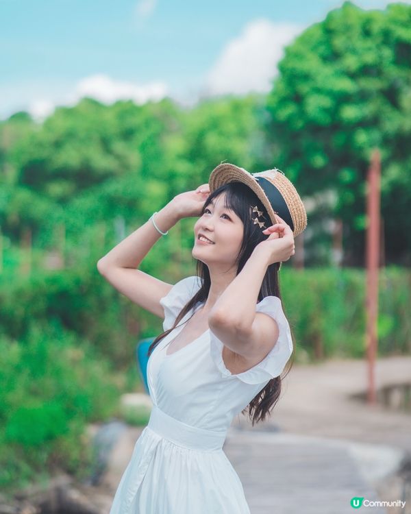 元朗信芯園最後花海!唔止太陽花,仲有超多打卡位