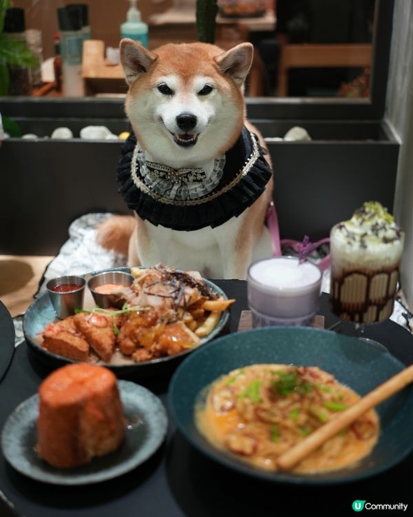 💰寵物友善西餐還·2人晚餐好抵食🍝
