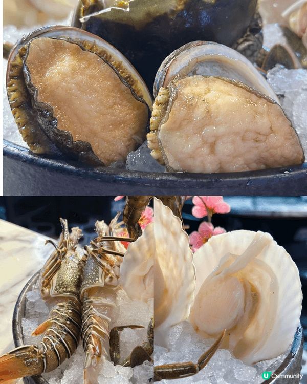 [尖沙咀］超值人氣活海鮮2.5小時放題
