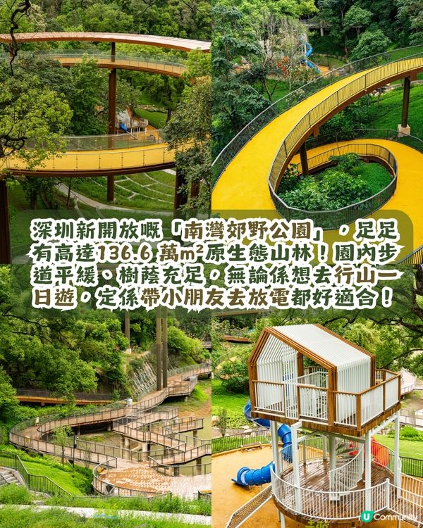 深圳新開136.6萬m²網紅公園🏞️黃色S形棧道/樹屋兒童樂園/360°天空之環