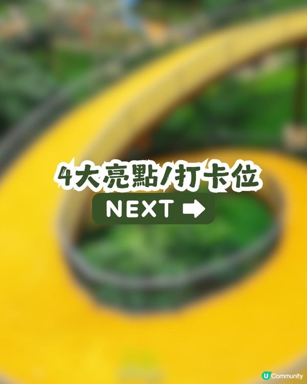 深圳新開136.6萬m²網紅公園🏞️黃色S形棧道/樹屋兒童樂園/360°天空之環