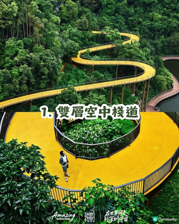 深圳新開136.6萬m²網紅公園🏞️黃色S形棧道/樹屋兒童樂園/360°天空之環